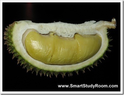 durian