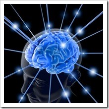 brain
