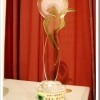 槟城《神奇记忆法》讲座